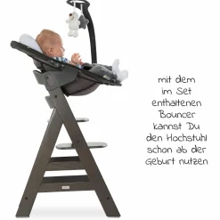 Alpha Charcoal Selectline Newborn Set Deluxe - 4-tlg. Hochstuhl + 2in1 Neugeborenenaufsatz (verstellbar) + Sitzpolster