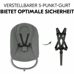 Alpha Plus Black 4-tlg. Newborn Set Premium - Hochstuhl + 2in1 Babyaufsatz & Wippe + Sitzkissen - Dark Grey