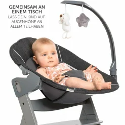 Alpha Plus Grau Newborn Set Deluxe - 4-tlg. Hochstuhl + 2in1 Neugeboreneneinsatz (verstellbar) + Sitzpolster