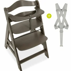 Alpha Plus Select Charcoal 4-tlg. Newborn Set Disney Pooh - Hochstuhl + Neugeborenenaufsatz + Sitzkissen Beige