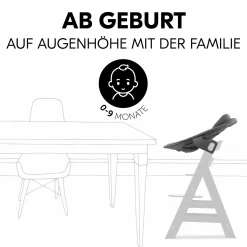 Alpha Plus Vanilla 4-tlg. Newborn Set - Hochstuhl + 2in1 Babyaufsatz & Wippe Premium + Sitzkissen - Dark Grey