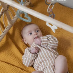 Beißring - Baby Bitie - Star - Sage