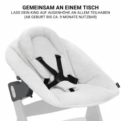 Beta Plus Dark Grey 5-tlg. Newborn Set - Hochstuhl + 2in1 Neugeborenen-Aufsatz & Wippe Premium + Essbrett + Sitzkissen - Light Grey