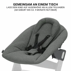 Beta Plus Dark Grey 5-tlg. Newborn Set - Hochstuhl + 2in1 Neugeborenen-Aufsatz & Wippe Premium, Essbrett, Sitzkissen - Dark Grey