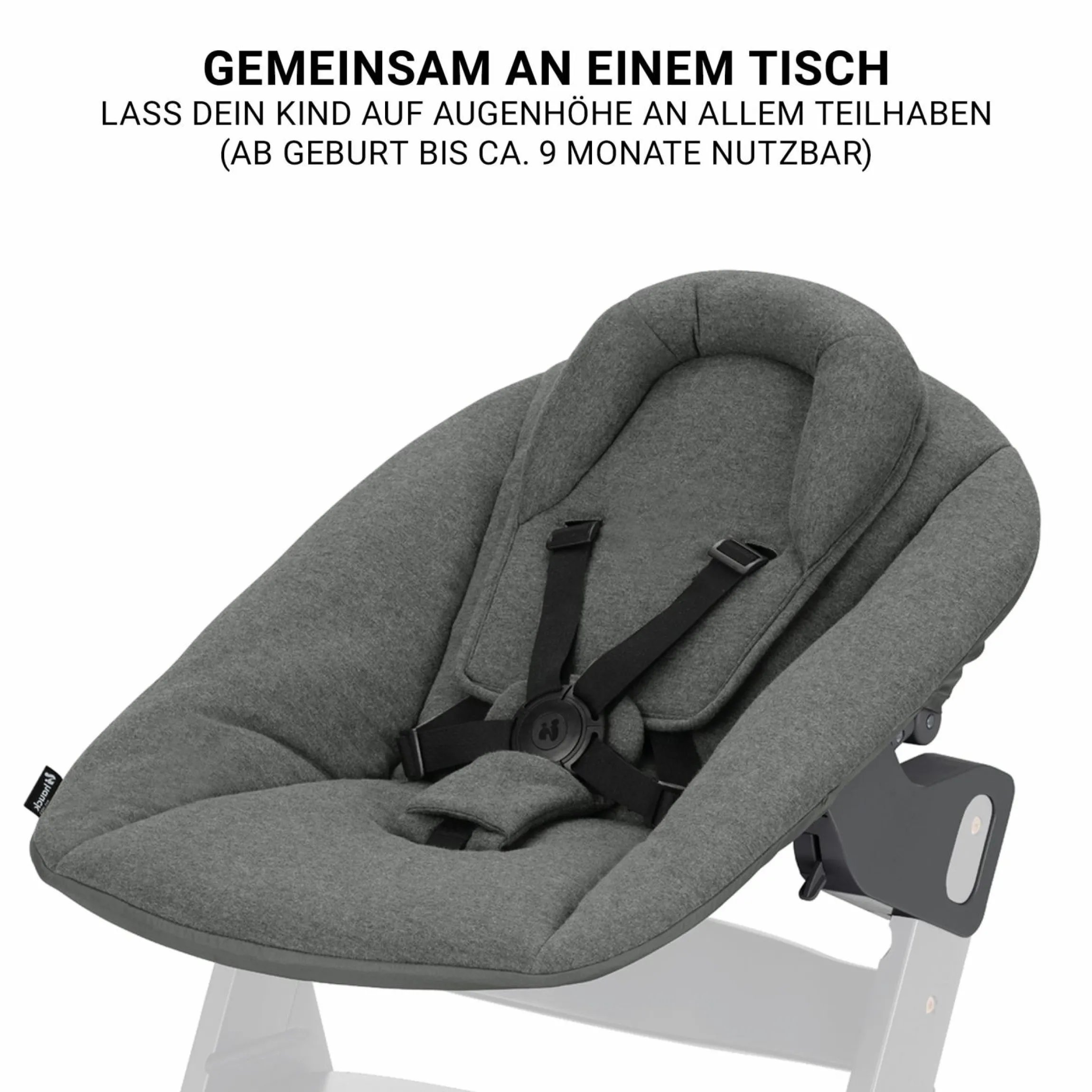 Beta Plus Dark Grey 5-tlg. Newborn Set - Hochstuhl + 2in1 Neugeborenen-Aufsatz & Wippe Premium, Essbrett, Sitzkissen - Dark Grey