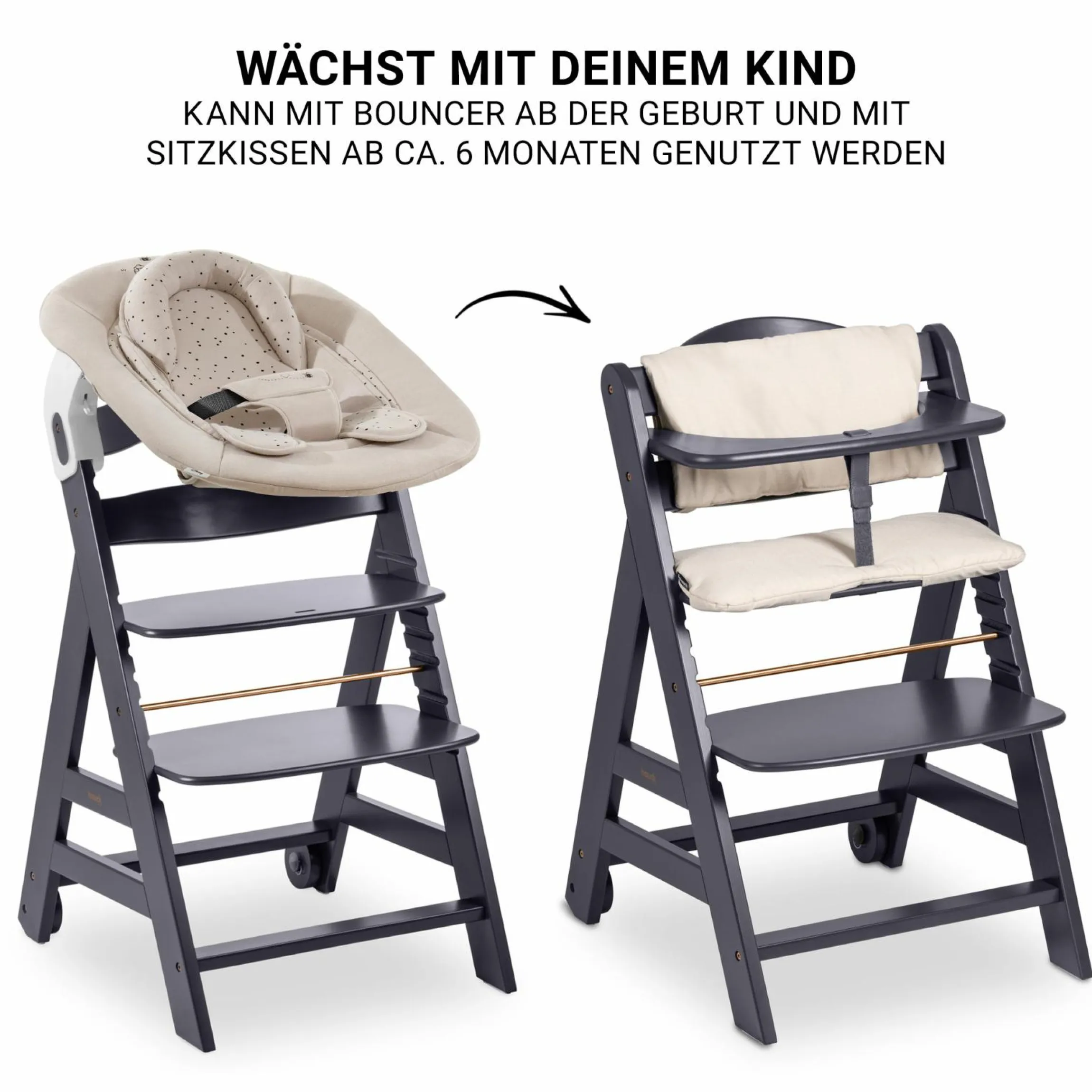 Beta Plus Dark Grey 5-tlg. Newborn Set - Hochstuhl + 2in1 Neugeborenen-Aufsatz & Wippe + Essbrett + Sitzkissen - Disney - Winnie the Pooh Beige