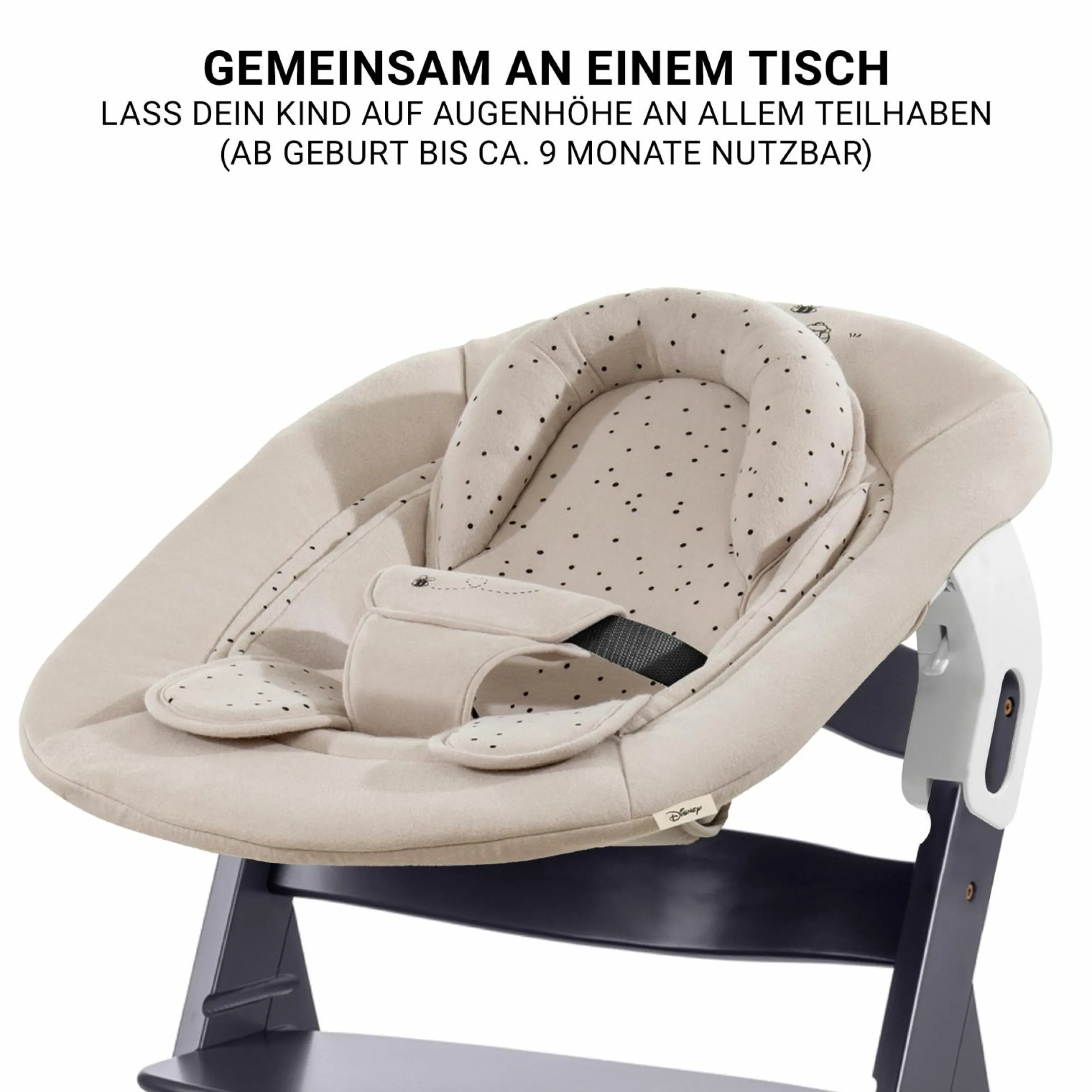 Beta Plus Dark Grey 5-tlg. Newborn Set - Hochstuhl + 2in1 Neugeborenen-Aufsatz & Wippe + Essbrett + Sitzkissen - Disney - Winnie the Pooh Beige