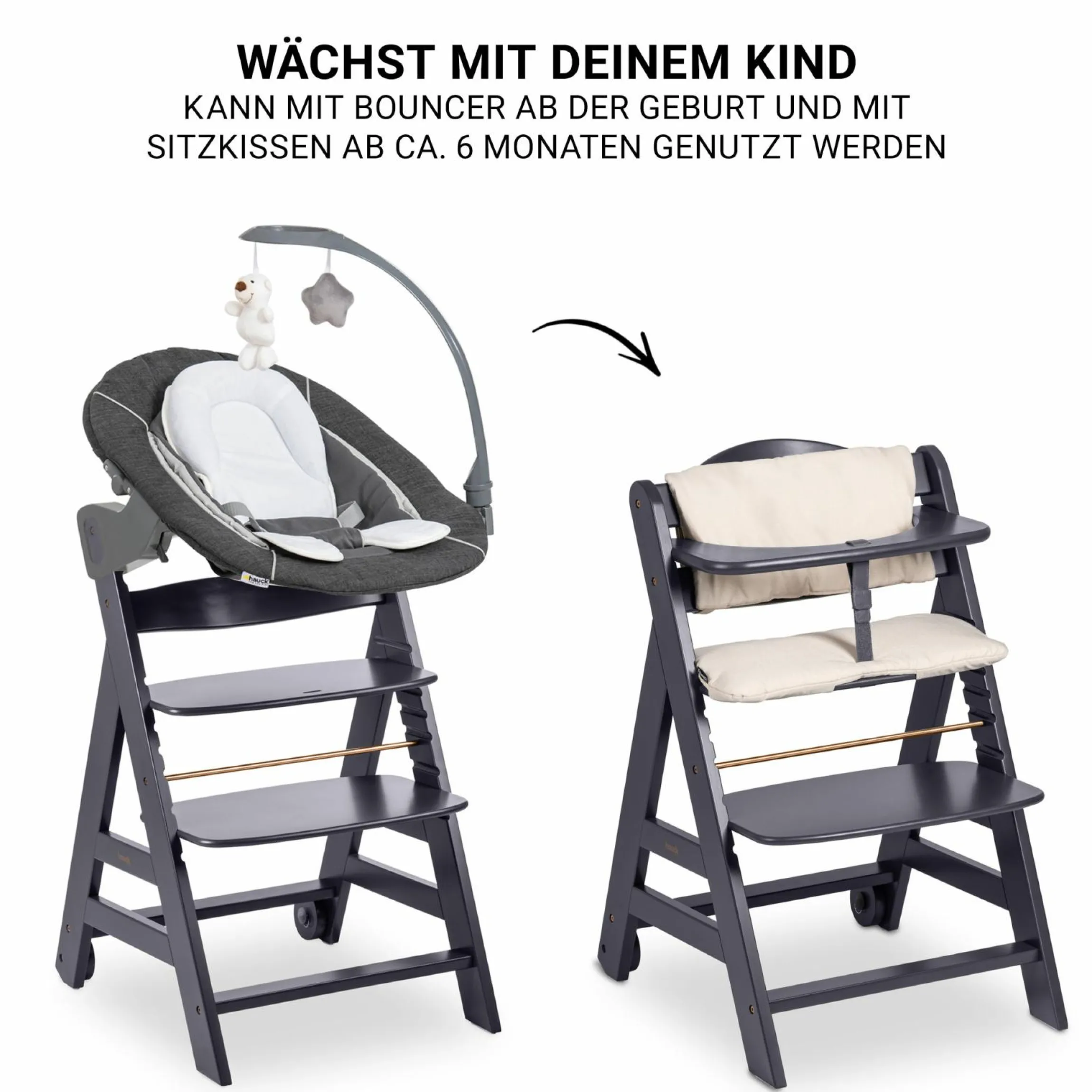 Beta Plus Dark Grey 5-tlg. Newborn Set - Hochstuhl + 2in1 Neugeborenen-Aufsatz & Wippe Deluxe, Essbrett, Sitzkissen - Melange Grey
