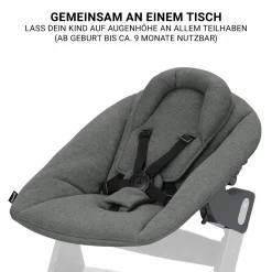 Beta Plus Whitewashed 5-tlg. Newborn Set - Hochstuhl + 2in1 Neugeborenen-Aufsatz & Wippe Premium, Essbrett, Sitzkissen - Dark Grey