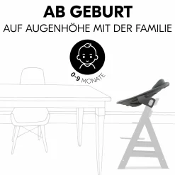 Bouncer 2in1 Premium (verstellbarer Neugeborenenaufsatz & Wippe) für Alpha & Beta Hochstuhl - Dark Grey