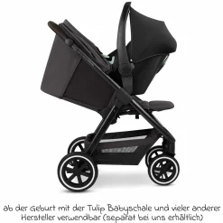Buggy & Sportwagen Avus 2 Air mit Lufträdern, Einhand-Faltung und höhenverstellbarem Schieber - Falcon - Kollektion 2025