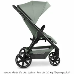 Buggy & Sportwagen Avus 2 mit Einhand-Faltung und höhenverstellbarem Schieber - Pine - Kollektion 2025