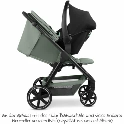 Buggy & Sportwagen Avus 2 mit Einhand-Faltung und höhenverstellbarem Schieber - Pine - Kollektion 2025
