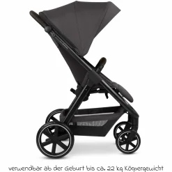 Buggy & Sportwagen Avus 2 mit Einhand-Faltung und höhenverstellbarem Schieber - Falcon - Kollektion 2025