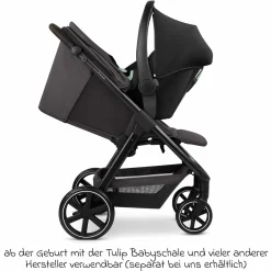 Buggy & Sportwagen Avus 2 mit Einhand-Faltung und höhenverstellbarem Schieber - Falcon - Kollektion 2025