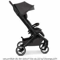 Buggy & Sportwagen Ping 3 Trekking bis 22 kg mit flacher Liegeposition inkl. Sitzeinlage, Transporttasche & Tragegurt - Falcon - Kollektion 2025