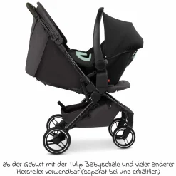 Buggy & Sportwagen Ping 3 Trekking bis 22 kg mit flacher Liegeposition inkl. Sitzeinlage, Transporttasche & Tragegurt - Falcon - Kollektion 2025
