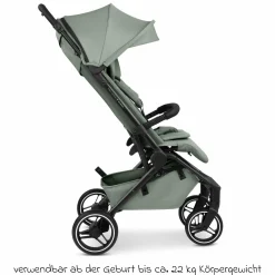 Buggy & Sportwagen Ping 3 Trekking bis 22 kg mit flacher Liegeposition inkl. Sitzeinlage, Transporttasche & Tragegurt - Pine - Kollektion 2025
