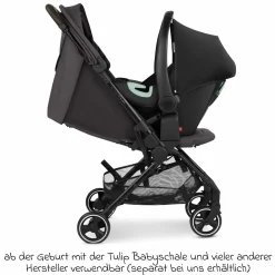 Buggy & Sportwagen Ping 3 Travel bis 22 kg mit flacher Liegeposition inkl. Transporttasche & Tragegurt - Falcon - Kollektion 2025