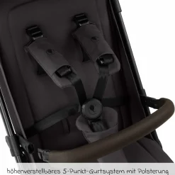 Buggy & Sportwagen Ping 3 Travel bis 22 kg mit flacher Liegeposition inkl. Transporttasche & Tragegurt - Falcon - Kollektion 2025