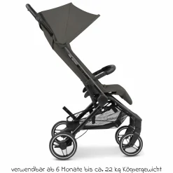 Buggy & Sportwagen Ping Two Trekking mit flacher Liegeposition, Transporttasche und Tragegurt - Cloud - Kollektion 2024