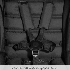 Buggy & Sportwagen Rapid 4 (bis 25 kg) - Petrol
