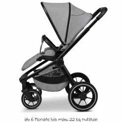 Buggy & Sportwagen Sport bis 22 kg mit Liegeposition, umsetzbare Sitzeinheit und Teleskopschieber - Stone Melange