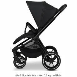 Buggy & Sportwagen Sport bis 22 kg mit Liegeposition, umsetzbare Sitzeinheit und Teleskopschieber - Onyx Melange