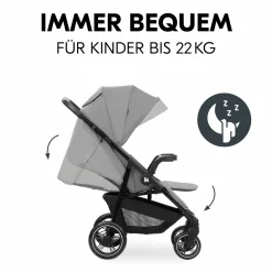 Buggy Shop N Care - Grey
