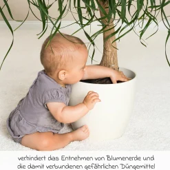 3er Pack Pflanzenschutznetz für Blumentöpfe mit einem Durchmesser bis zu 30 cm - Schwarz - Kollektion 2024