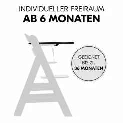 Hochstuhl Alpha Plus Black - im Sparset inkl. Essbrett Click Tray, Sitzkissen und Aufbewahrungsboxen - Jersey Charcoal