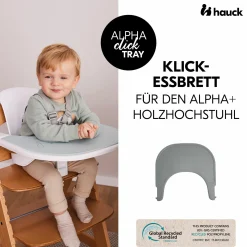 Hochstuhl Alpha Plus Grey - im Sparset inkl. Essbrett Click Tray + Sitzkissen Minnie Mouse Rose