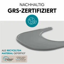 Hochstuhl Alpha Plus Grey - im Sparset inkl. Essbrett Click Tray + Sitzkissen Minnie Mouse Rose