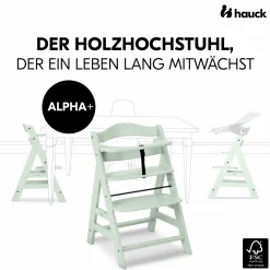 Hochstuhl Alpha Plus Mint - im Sparset inkl. Essbrett Click Tray + Sitzkissen - Charcoal