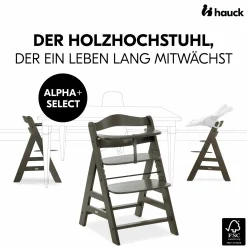 Hochstuhl Alpha Plus Select - Charcoal / Dunkelgrau
