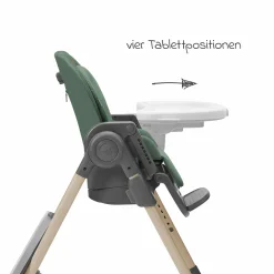 Hochstuhl Minla mitwachsend ab Geburt - 14 Jahre - Hochstuhl, Babyliege mit Liegefunktion & Tablett - Beyound - Green Eco - Kollektion 2025