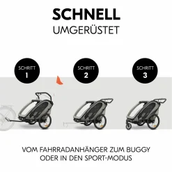 3in1 Fahrradanhänger Bike N Walk Duo für 2 Kinder (bis 44 kg) - Bike Trailer, City Buggy & Outdoor-Begleiter - Light Grey