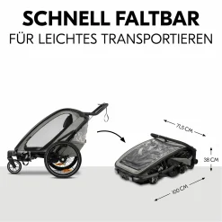 3in1 Fahrradanhänger Bike N Walk Duo für 2 Kinder (bis 44 kg) - Bike Trailer, City Buggy & Outdoor-Begleiter - Light Grey