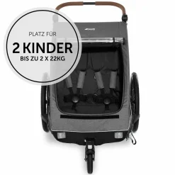 2in1 Fahrradanhänger Dryk Duo für 2 Kinder (bis 44 kg) - Bike Trailer & City Buggy - Melange Grey