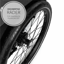 2in1 Fahrradanhänger Dryk Duo für 2 Kinder (bis 44 kg) - Bike Trailer & City Buggy - inkl. GRATIS Schutzpaket - Melange Grey