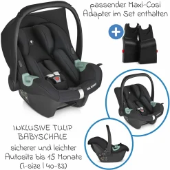 3in1 Kinderwagen-Set Salsa 4 Air - inkl. Babywanne, Babyschale Tulip, Sportsitz mit XXL Zubehörpaket - Aloe