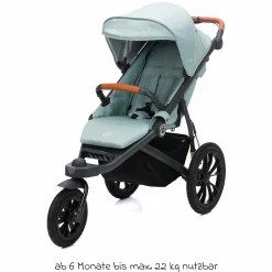 Jogger & Sportwagen Run bis 22 kg belastbar mit Lufträder, Knickschieber, Liegeposition & Handbremse - Salbei Melange