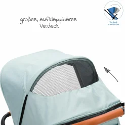 Jogger & Sportwagen Run bis 22 kg belastbar mit Lufträder, Knickschieber, Liegeposition & Handbremse - Salbei Melange
