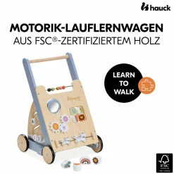 Lauflernwagen / Sortierwagen Learn To Walk Skills - mit vielen Motorik Spielen