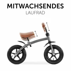 Laufrad E Z Rider 12 - Matt Grey