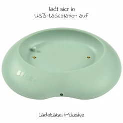 Nachtlicht Pixie Stick - Sage Green