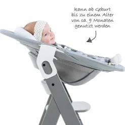 Neugeborenenaufsatz & Wippe für Alpha Hochstuhl - Bouncer 2in1 - Stretch Grey