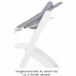 Neugeborenensitz für Hochstuhl Evosit - Grau Weiß