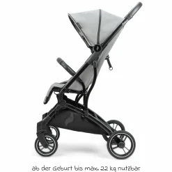 Reisebuggy & Sportwagen Boogy bis 22 kg belastbar nur 6,8 kg leicht inkl. Adapter, Regenschutz & Transporttasche - Monster