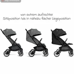 Reisebuggy & Sportwagen Parcel LX bis 22 kg belastbar nur 7,7 kg leicht mit Liegefunktion inkl. Regenschutz, Adapter & Transporttasche - Signature - Ebony
